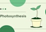create professional lesson plans for teachers and educators